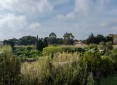Programme Neuf BLUE GARDEN Saint-Cyprien
